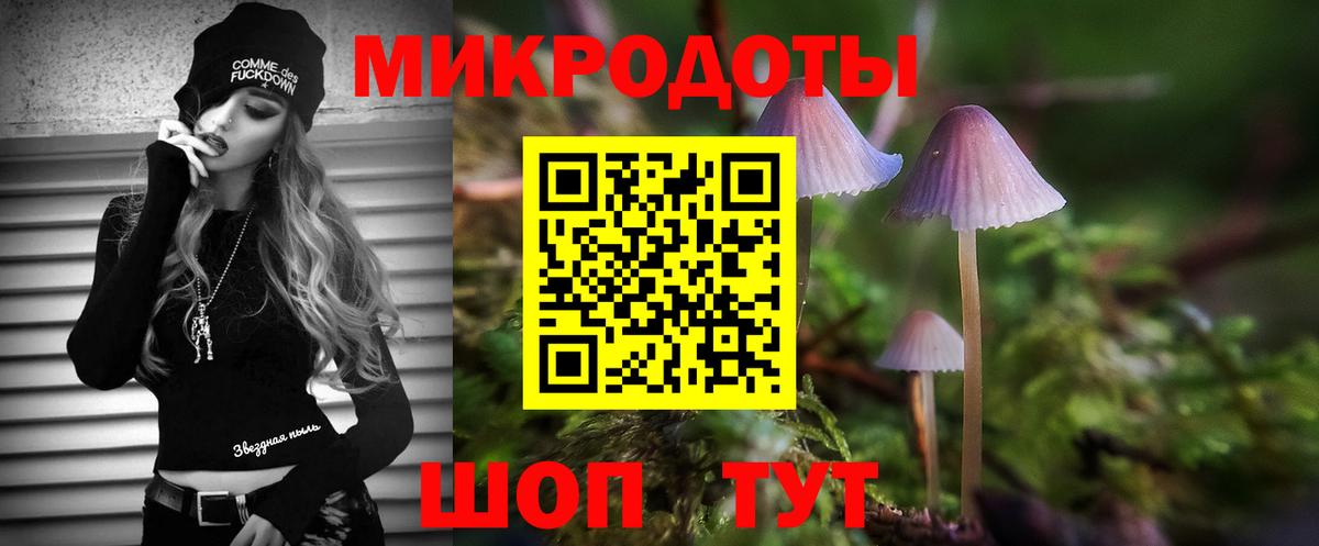 Псилоцибиновые грибы мицелий Амурск